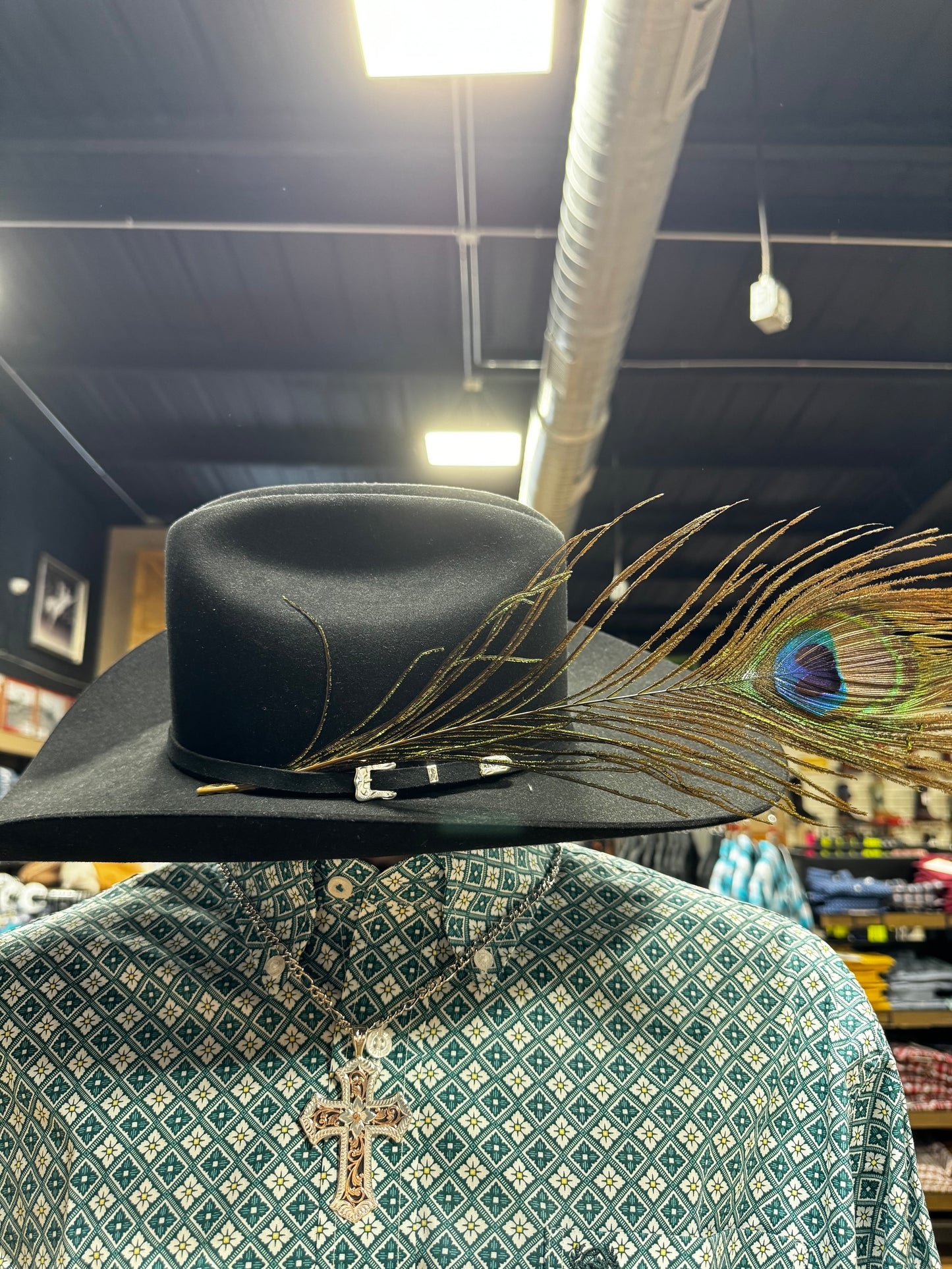 Hat Feathers