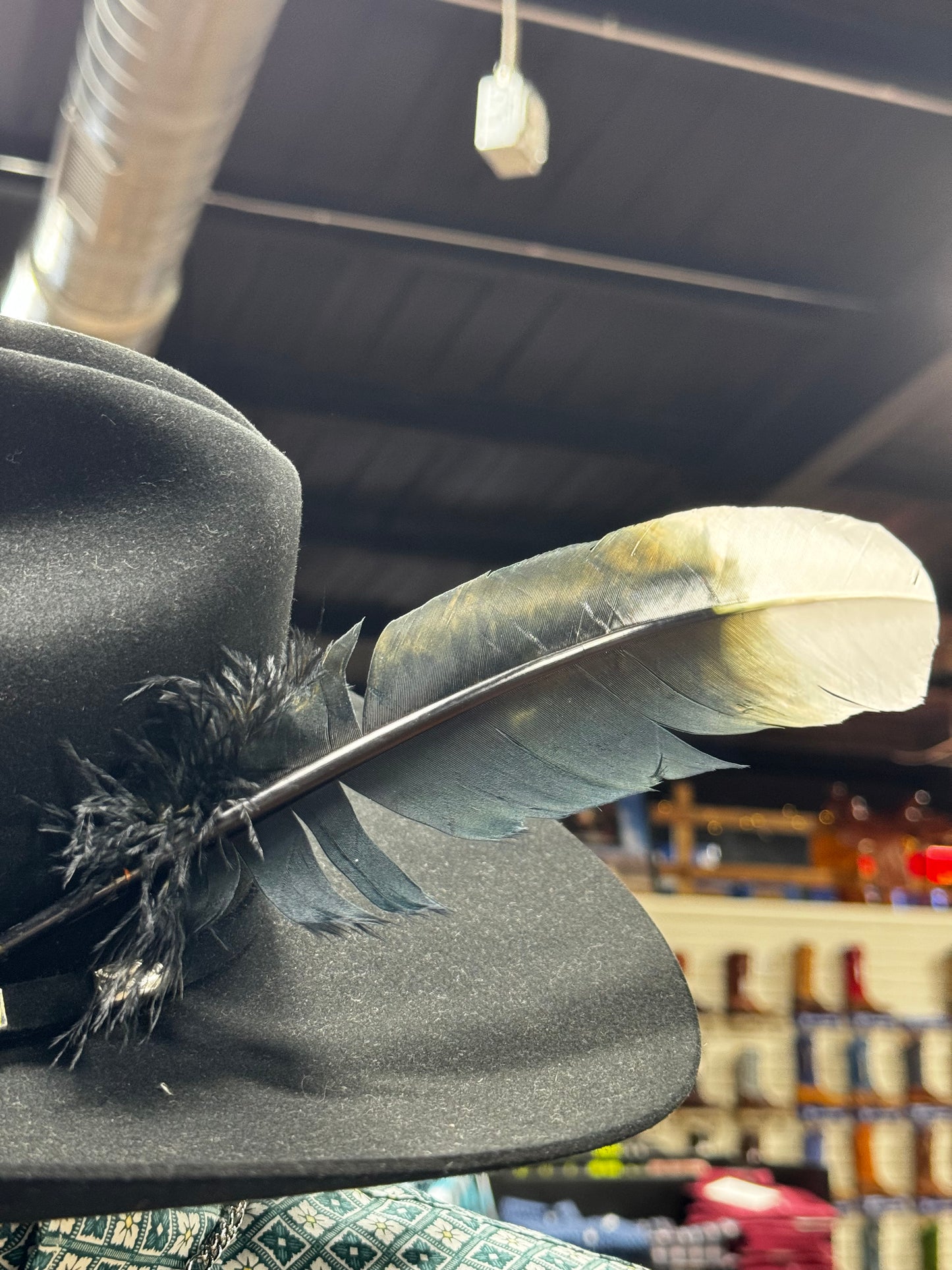 Hat Feathers