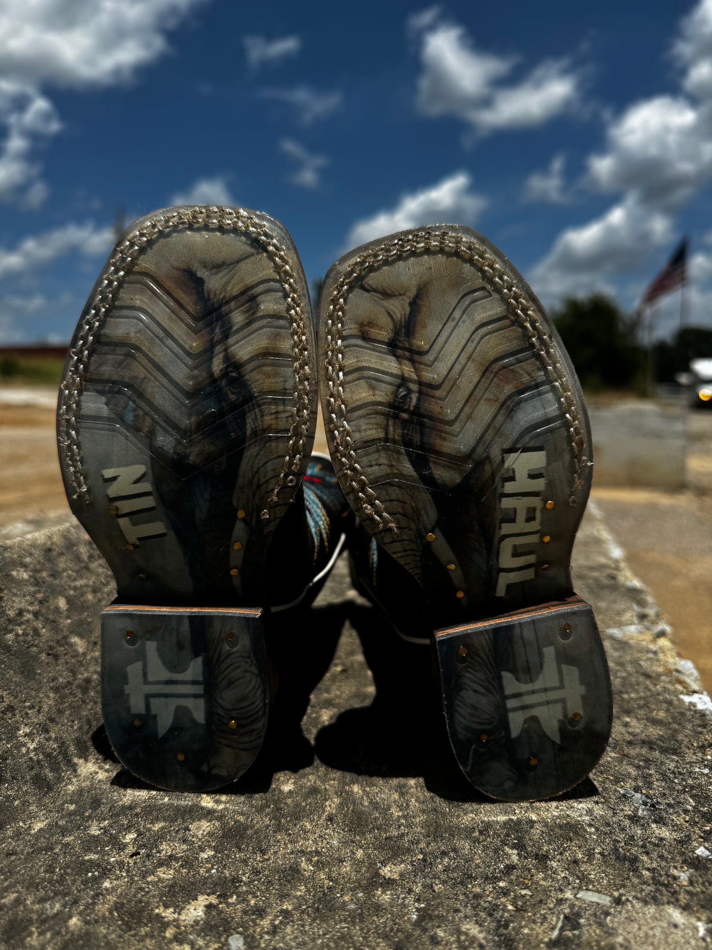 Tin Haul Kids Elephants Never Forget in the Wild (0940)