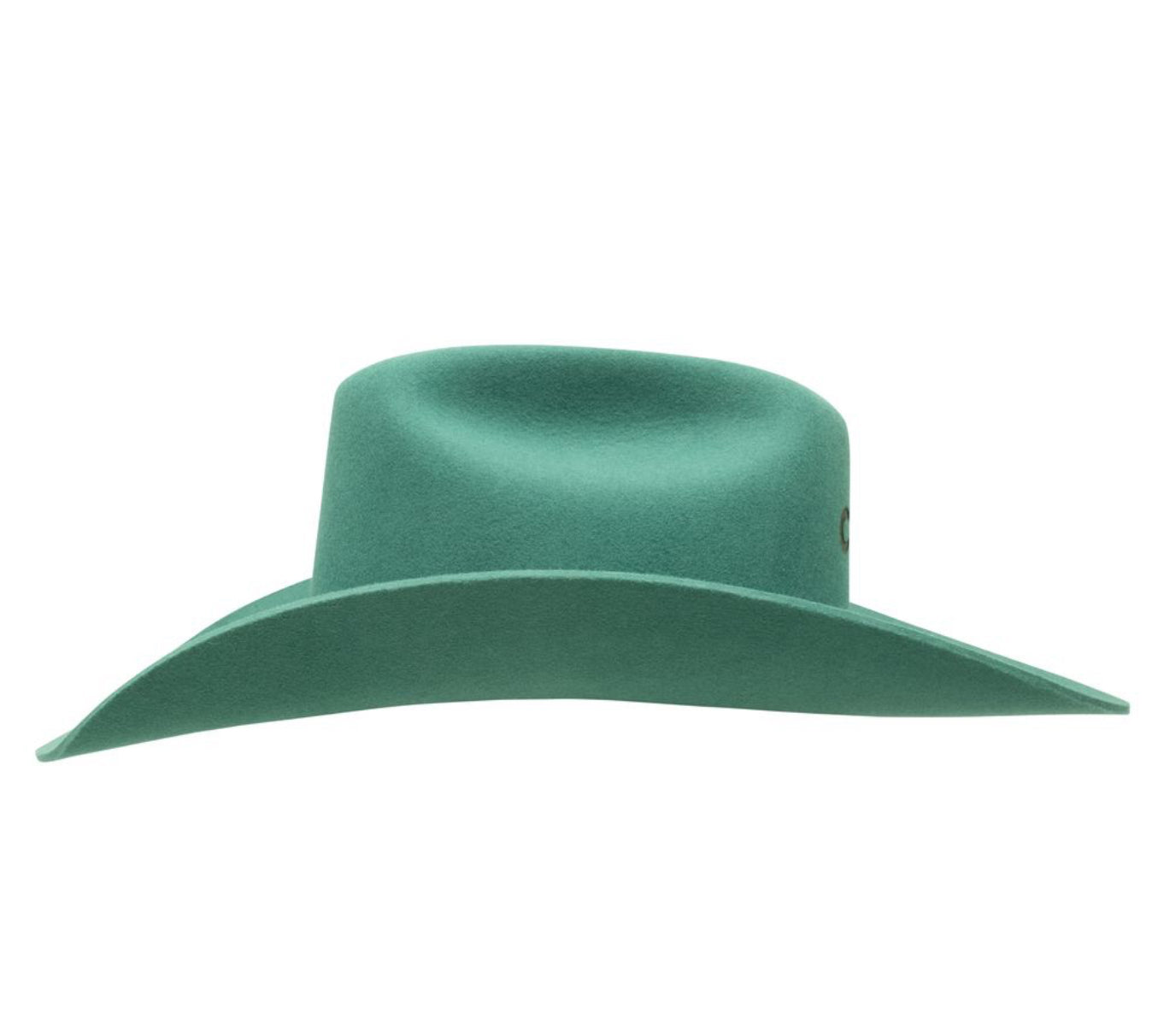 The Cowgirl Hat