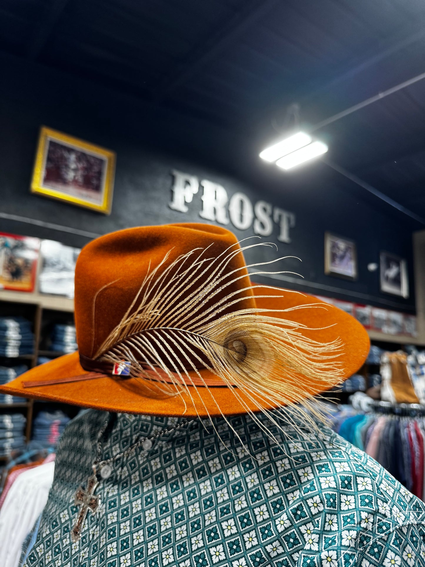 Hat Feathers