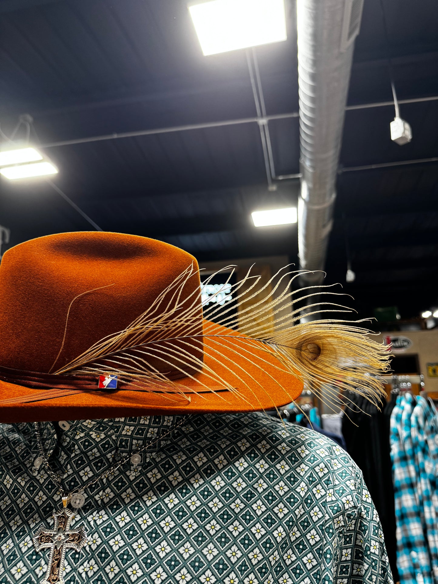 Hat Feathers