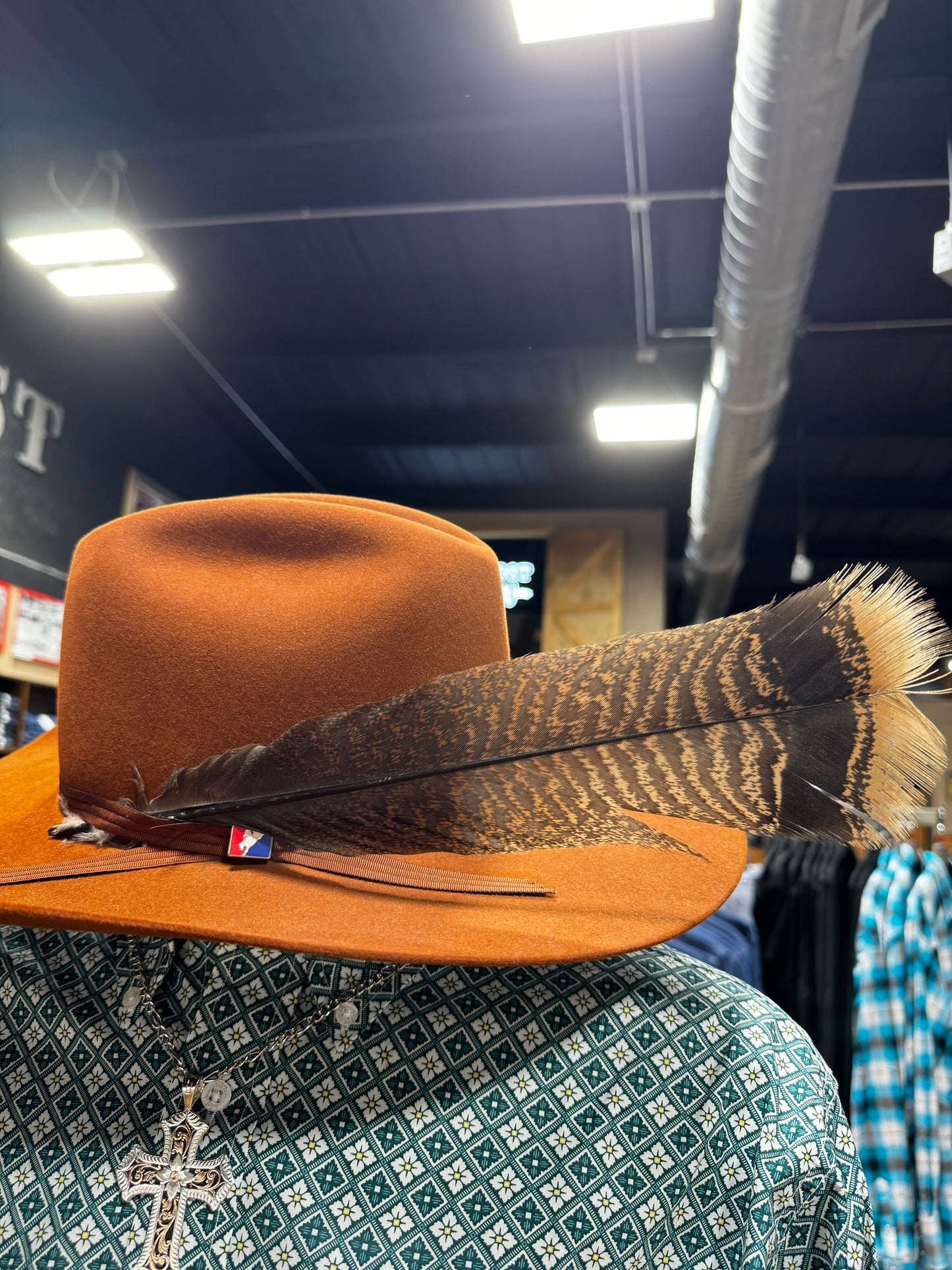 Hat Feathers
