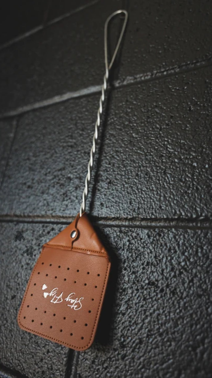 Fly Swat It