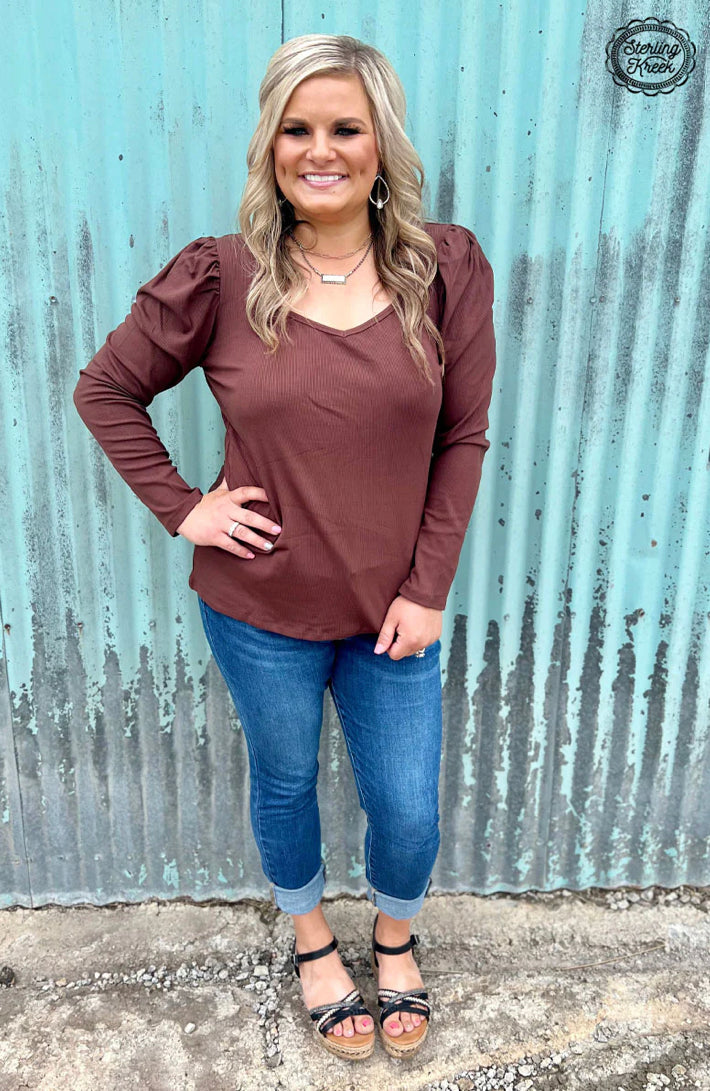 Something Classy Brown Top