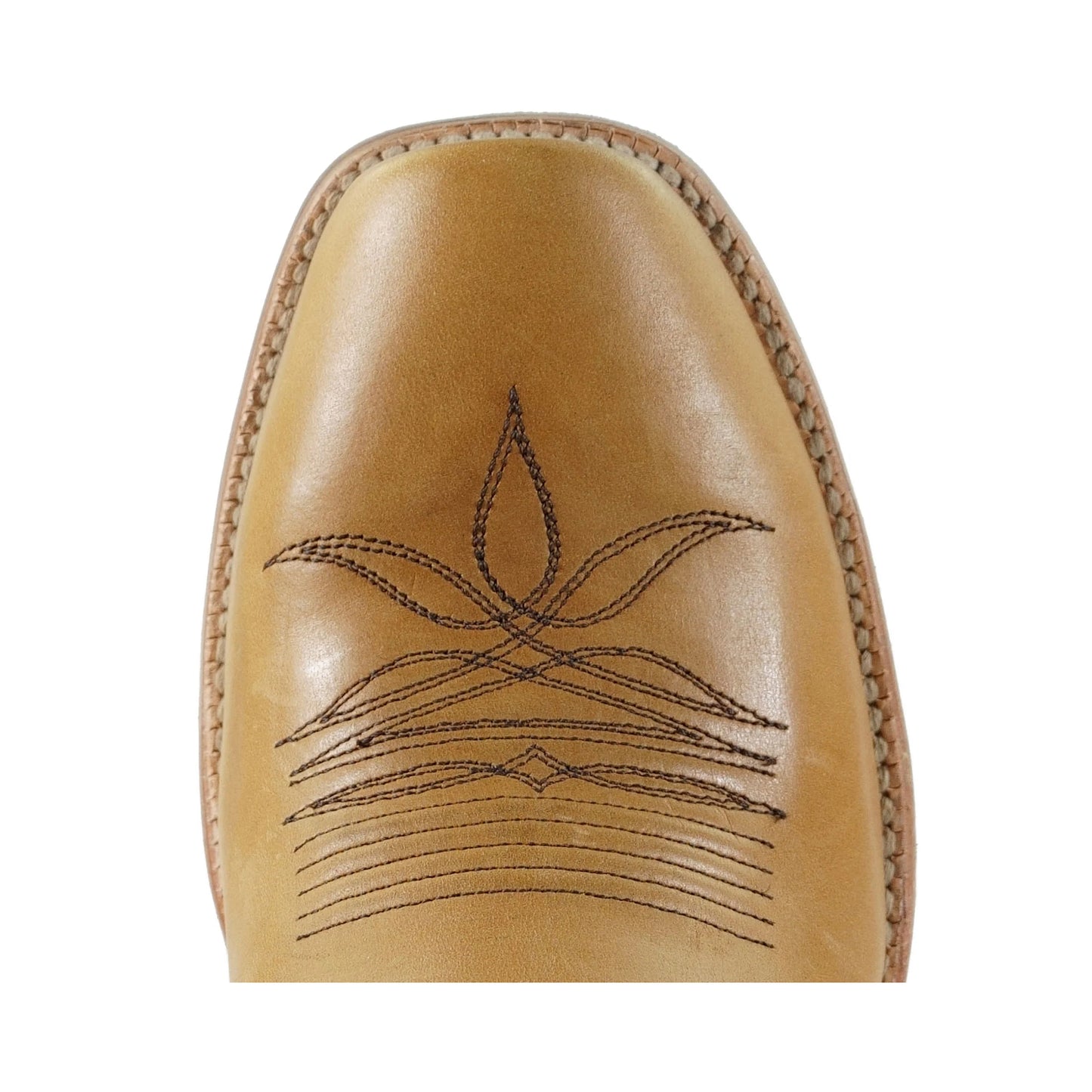 Maize