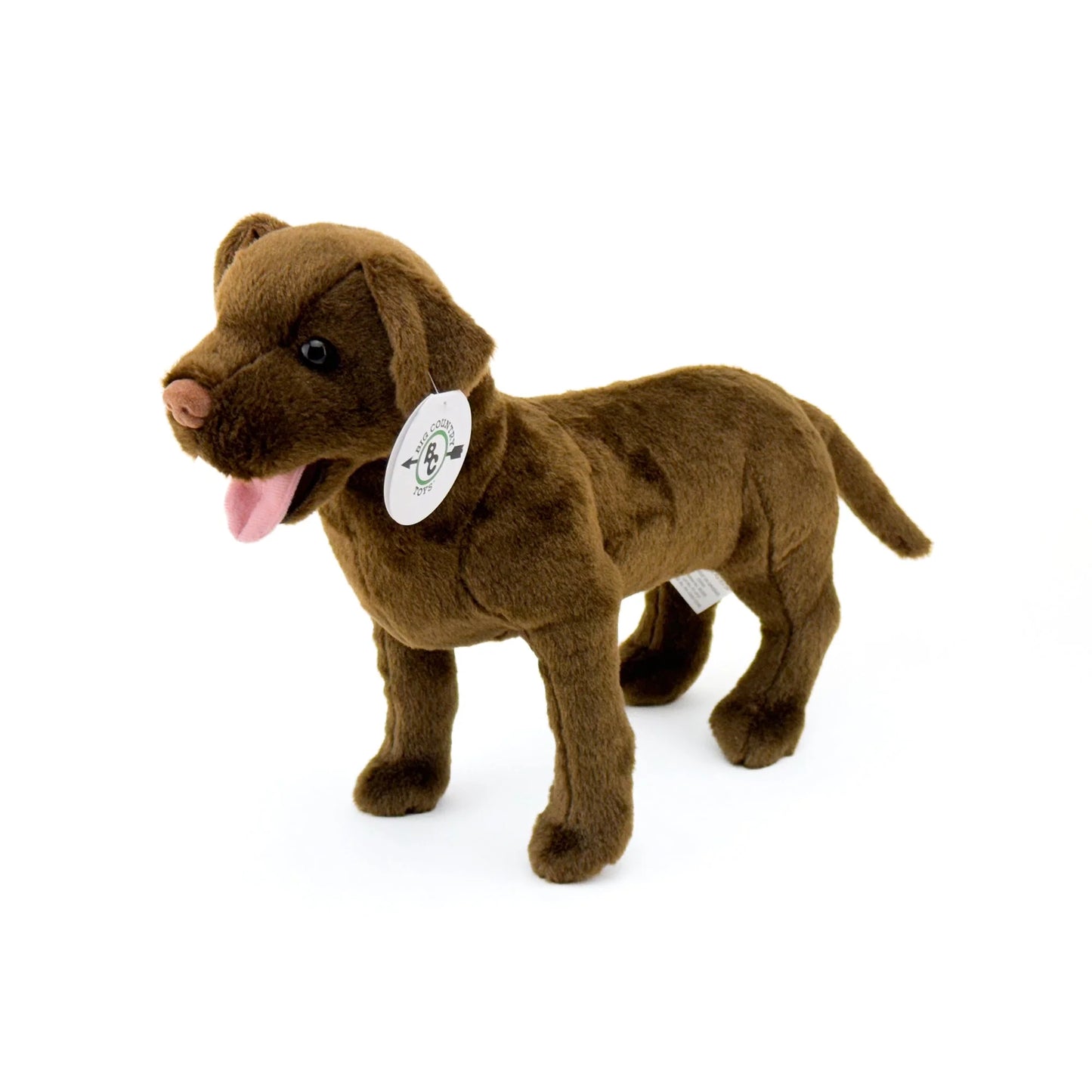 Chocolate Lab