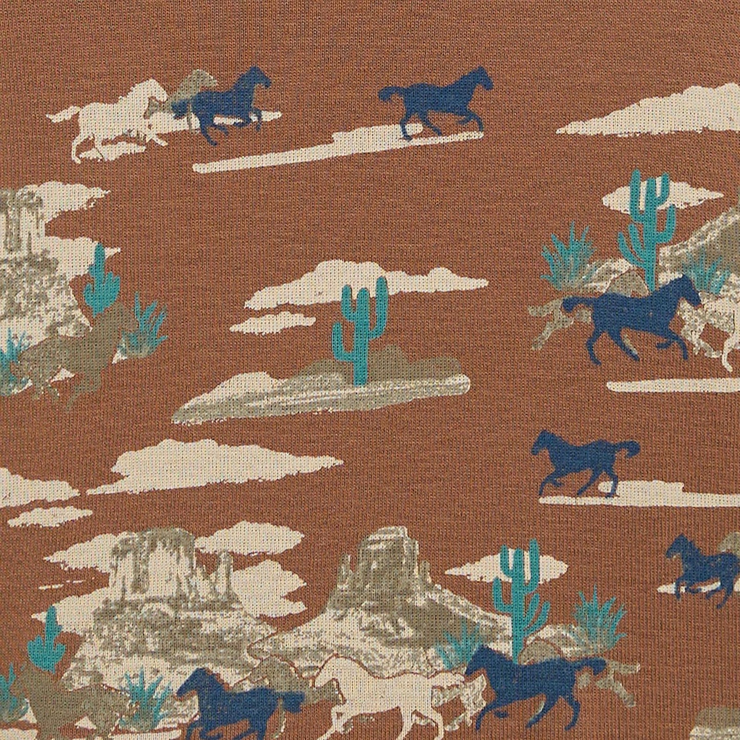 Wrangler® Baby Boy Long Sleeve Bodysuit - Knit - Brown