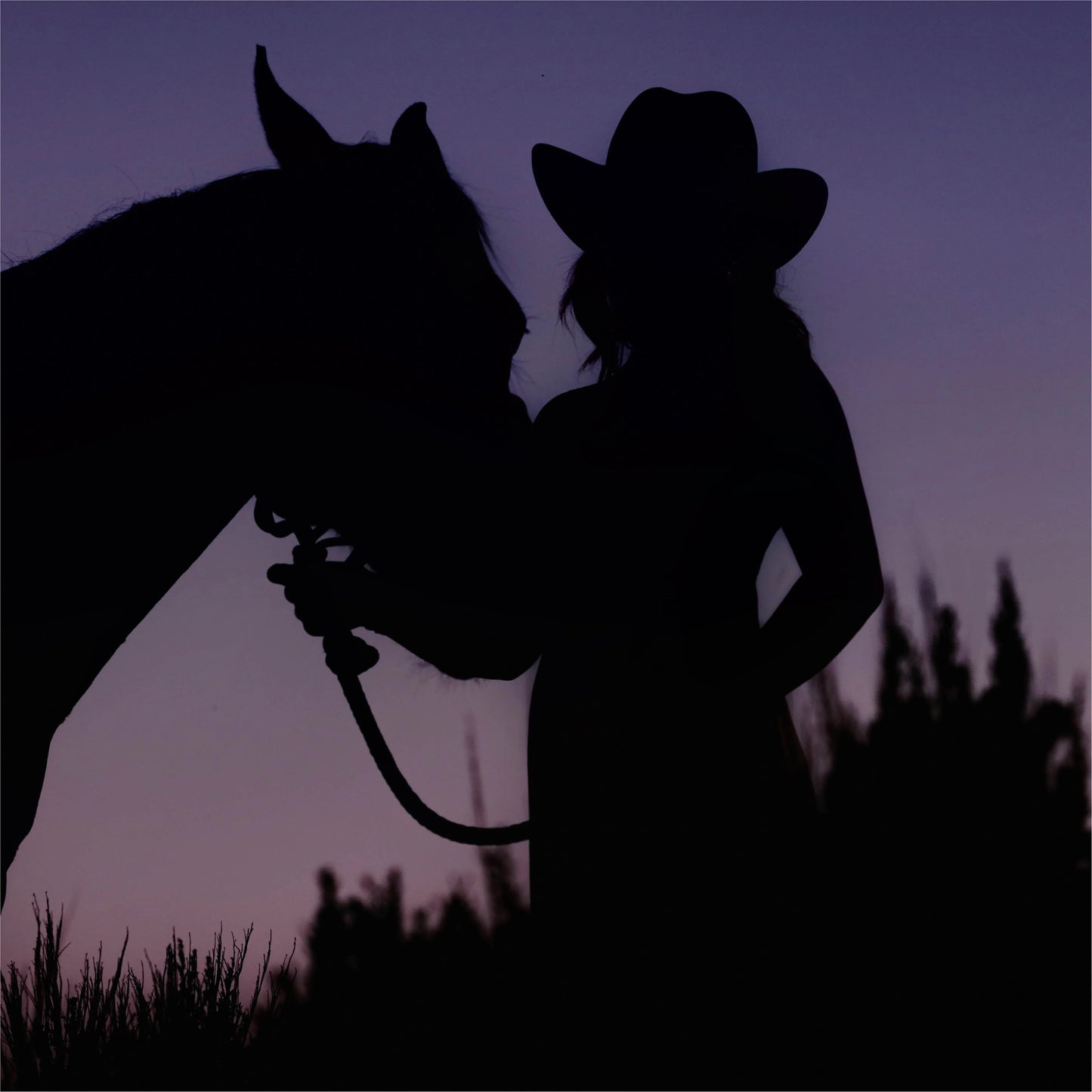 Yellowstone Dusk