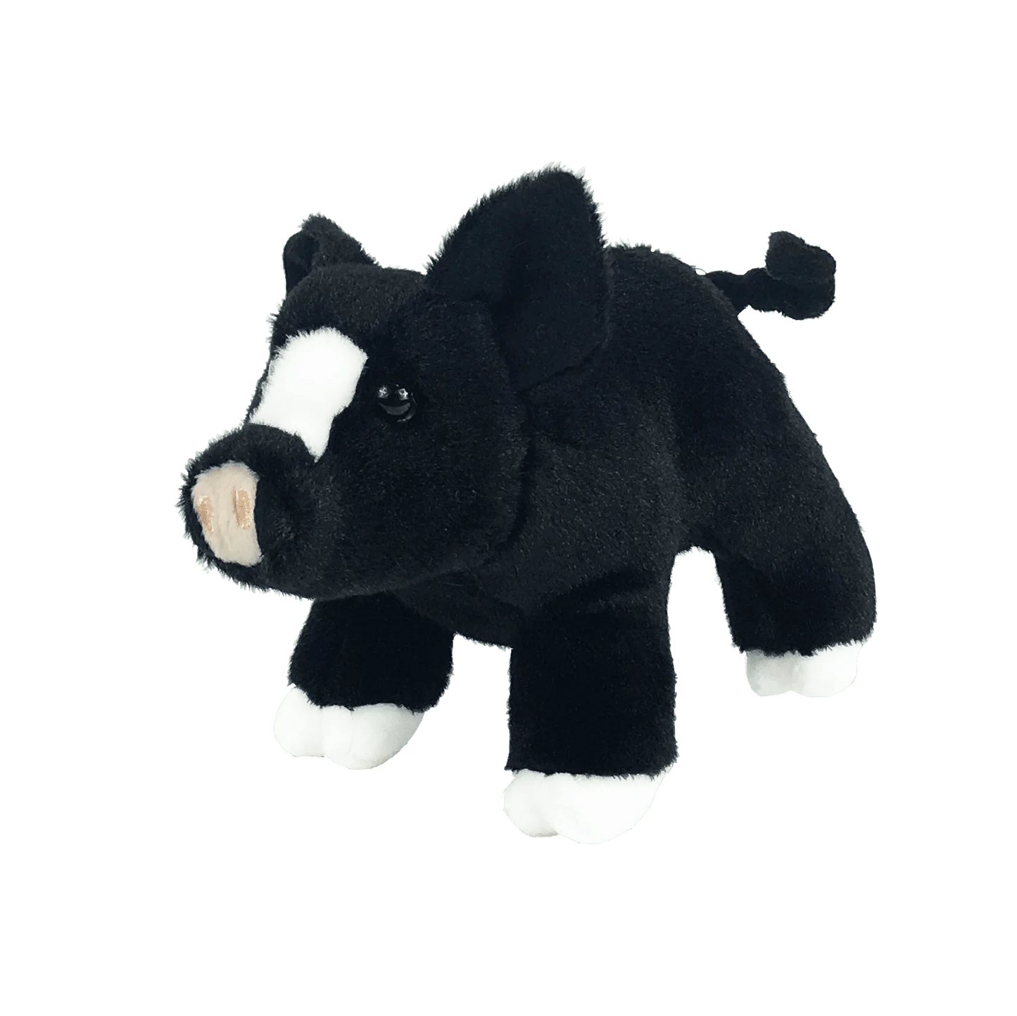 Timmy the Pig