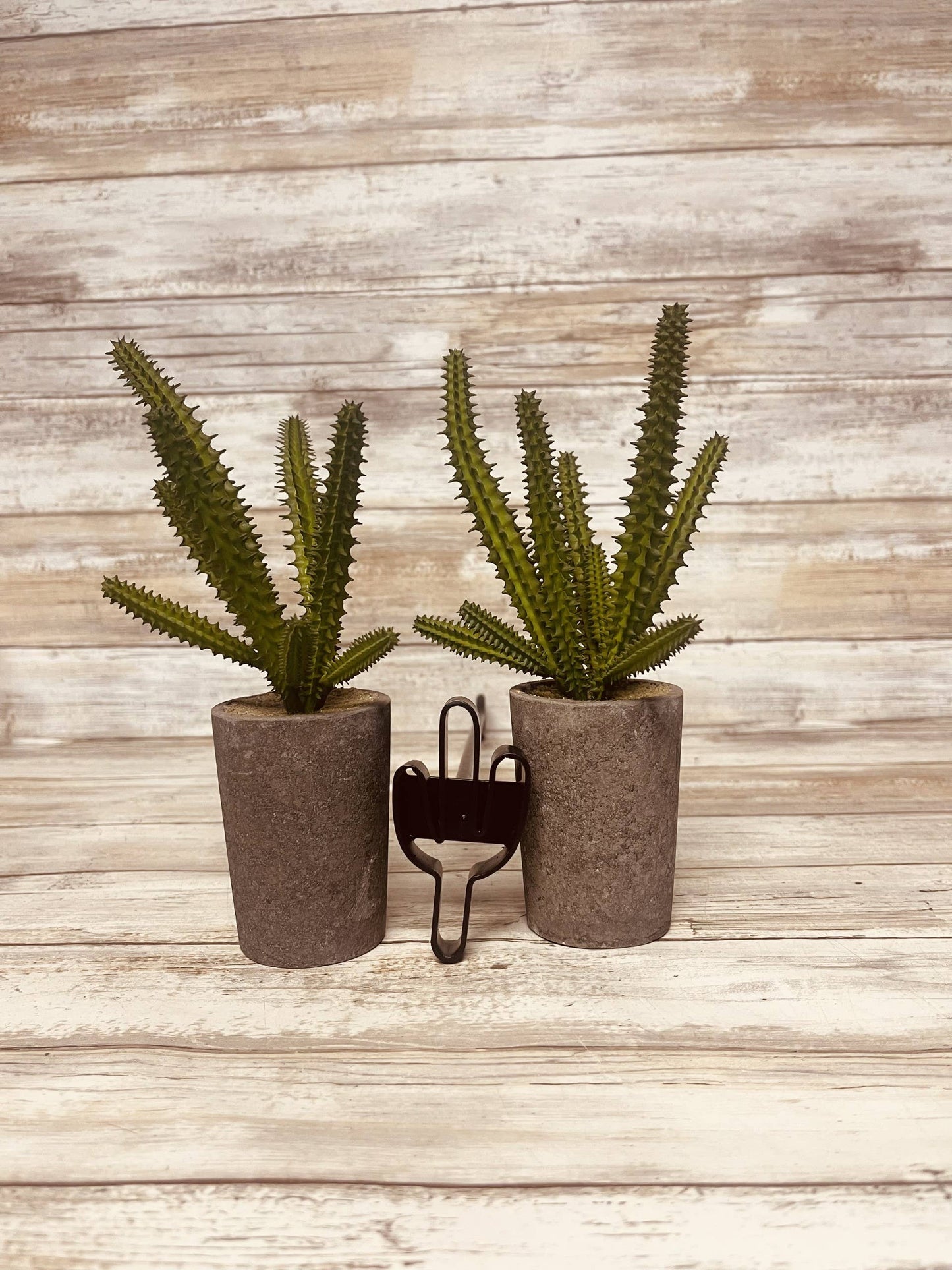 Saguaro Cactus Branding Iron DIY Steak Brand Craft Gift