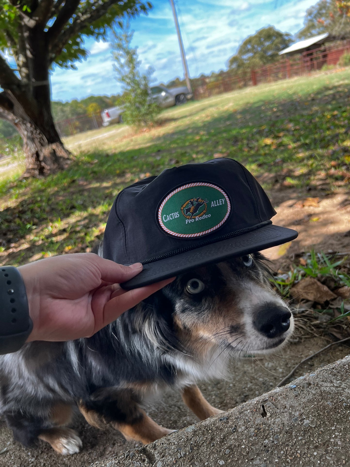 Cactus Alley Cope Cap