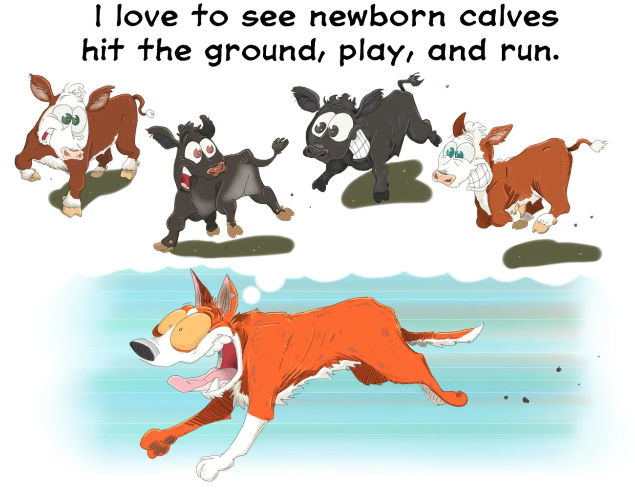 ROADIE THE RANCH DOG #4 "WHERE ARE ALL THE CALVES?!"