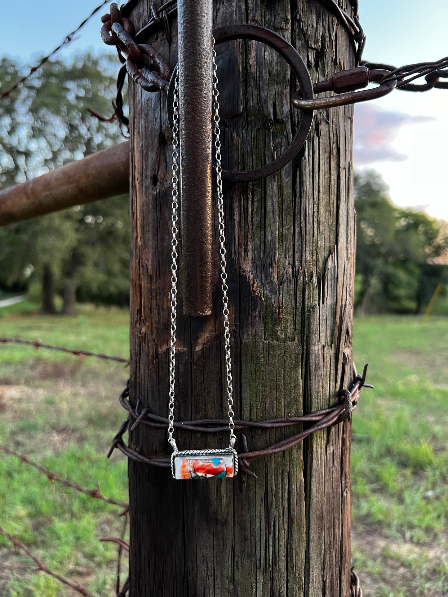 The Genesis Necklace