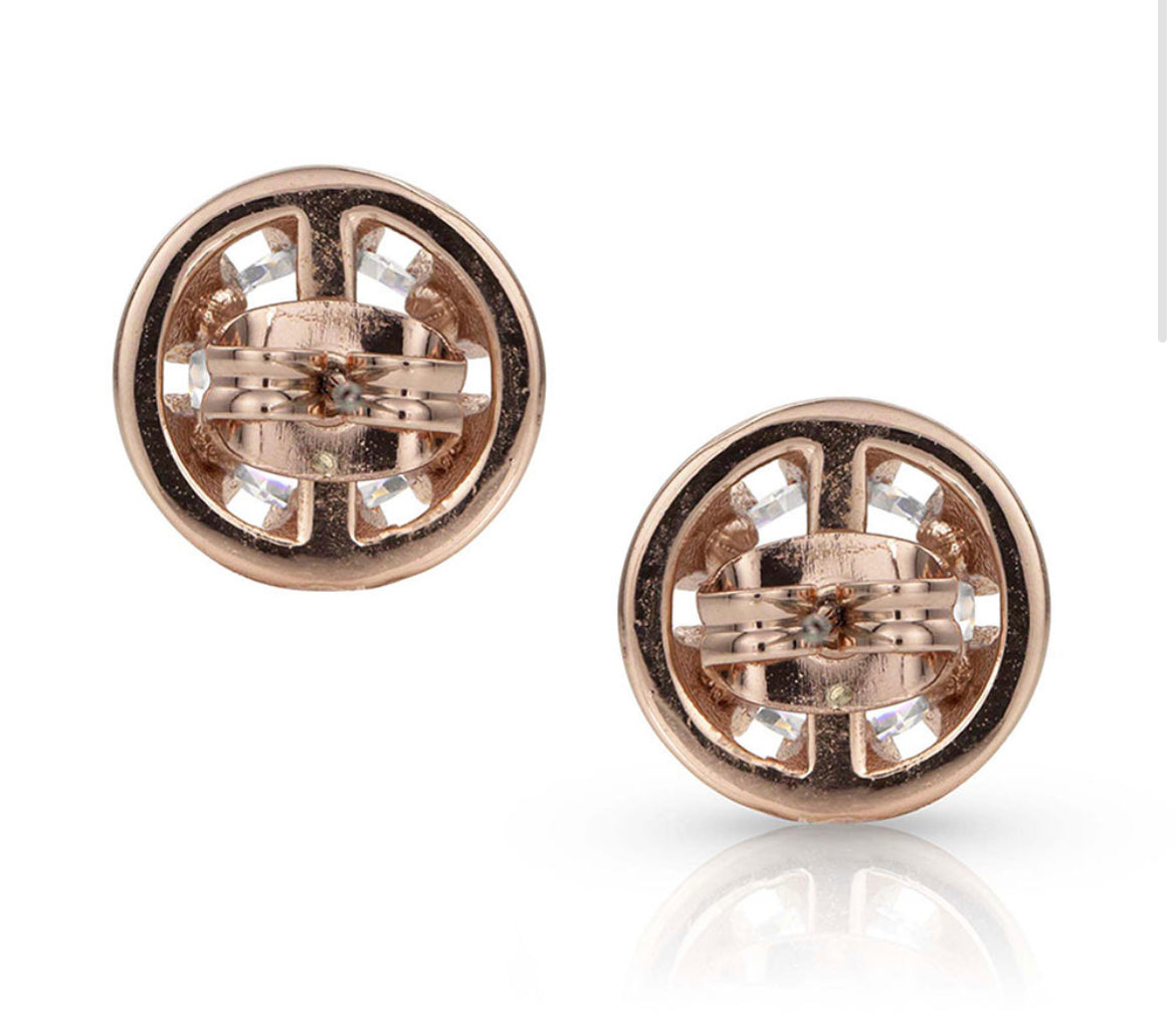 Sunlit Lucky Water Horseshoe Earrings