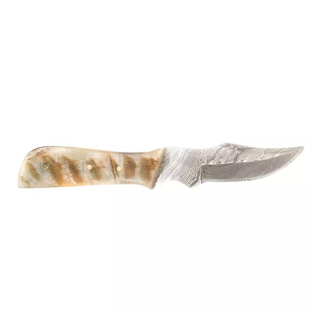 Damascus Mini Ram Horn Bone Handle Knife w/Sheath