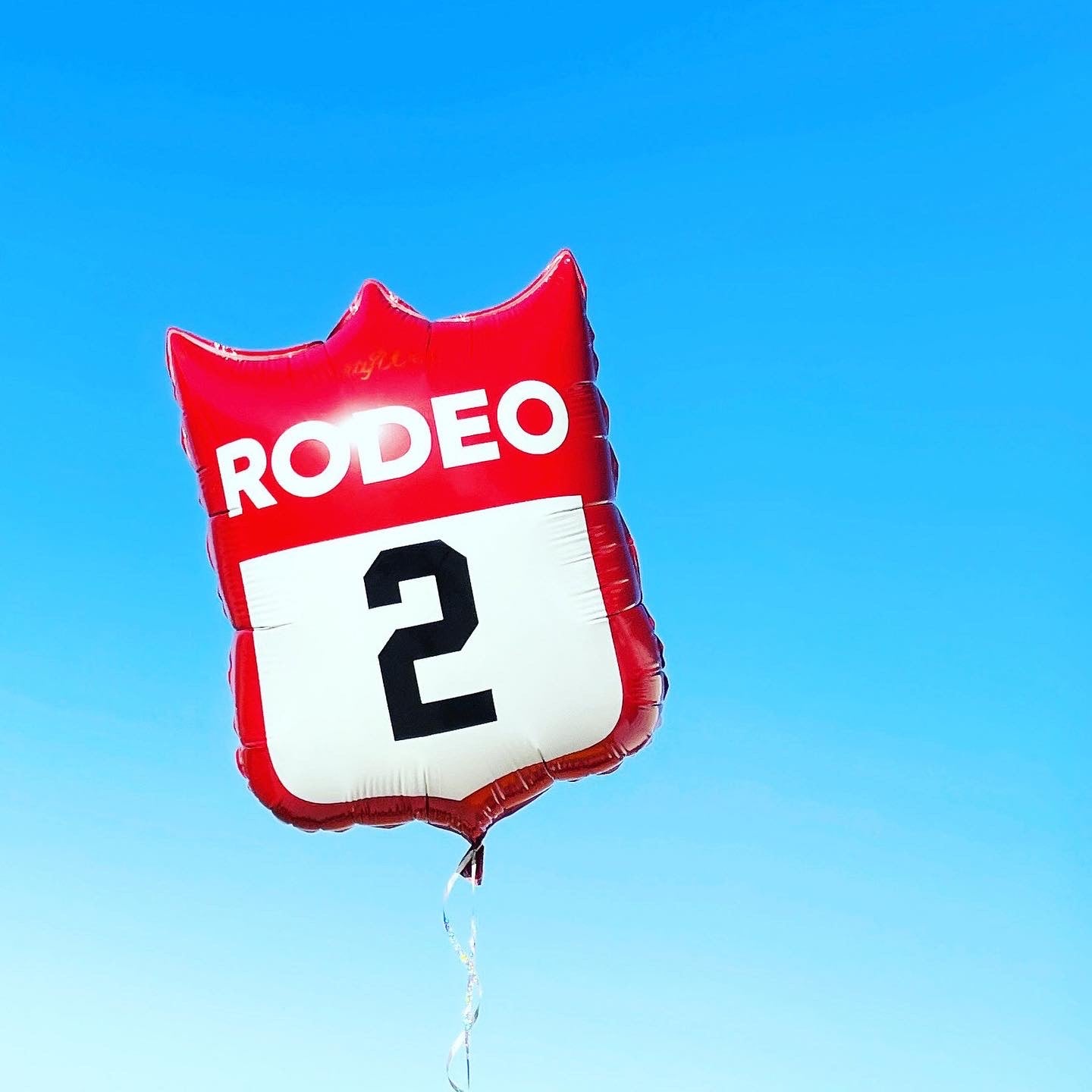 Western Theme Party