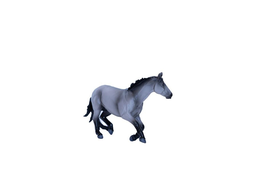 Barrel Horses