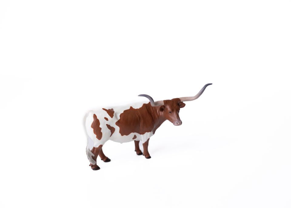 Texas Longhorn Steer Red/White