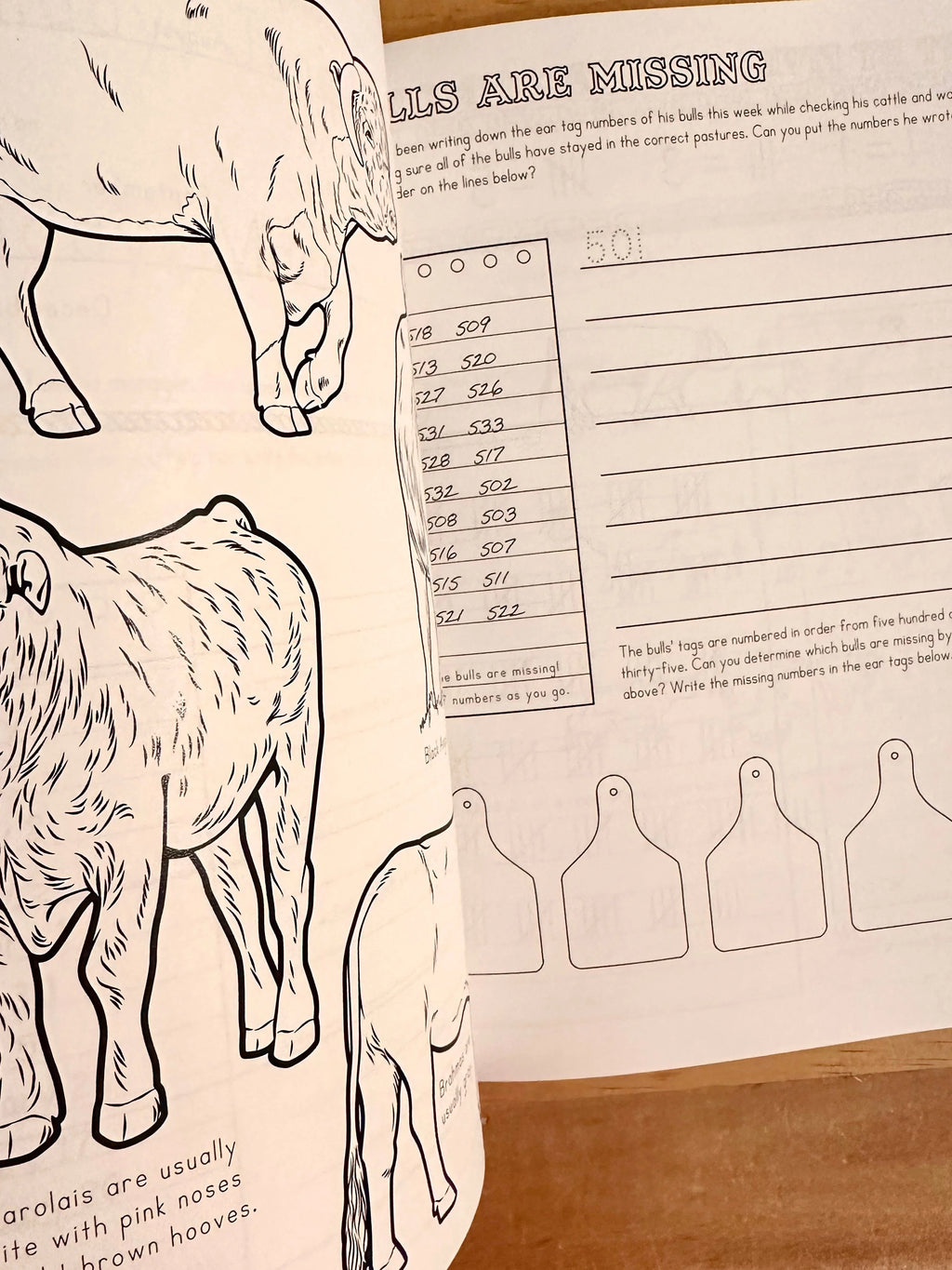 Ranch Math: Money, Place Value, and Fractions