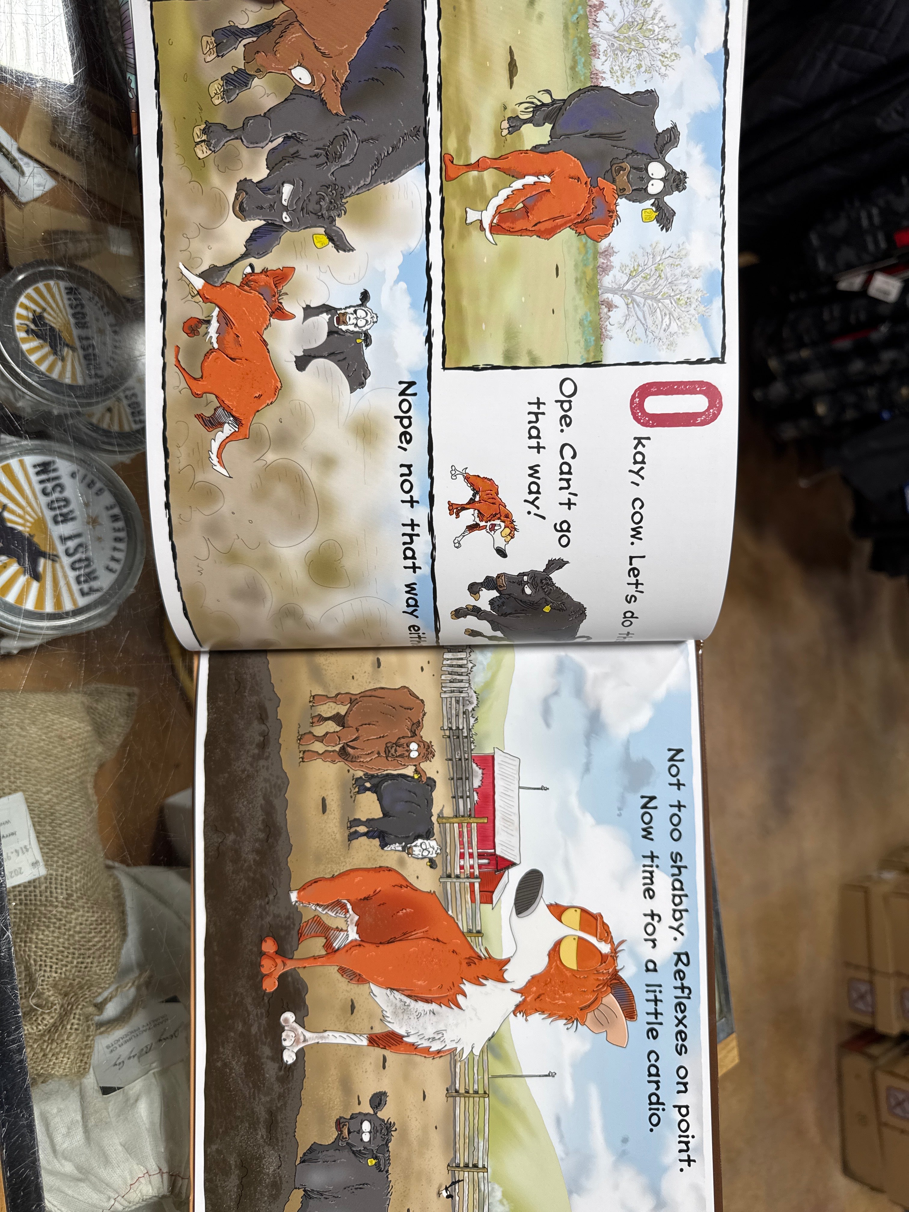 Roadie the Ranch Dog #7