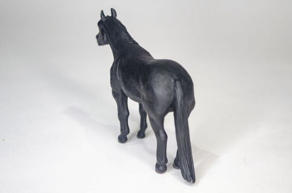 Quarter Horse Black