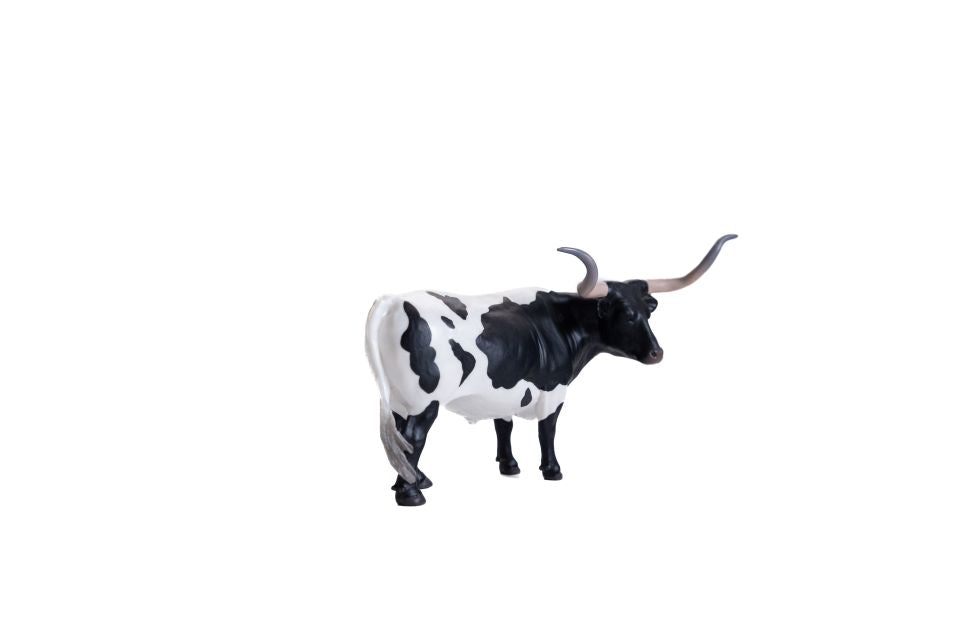 Texas Longhorn Steer Black/White