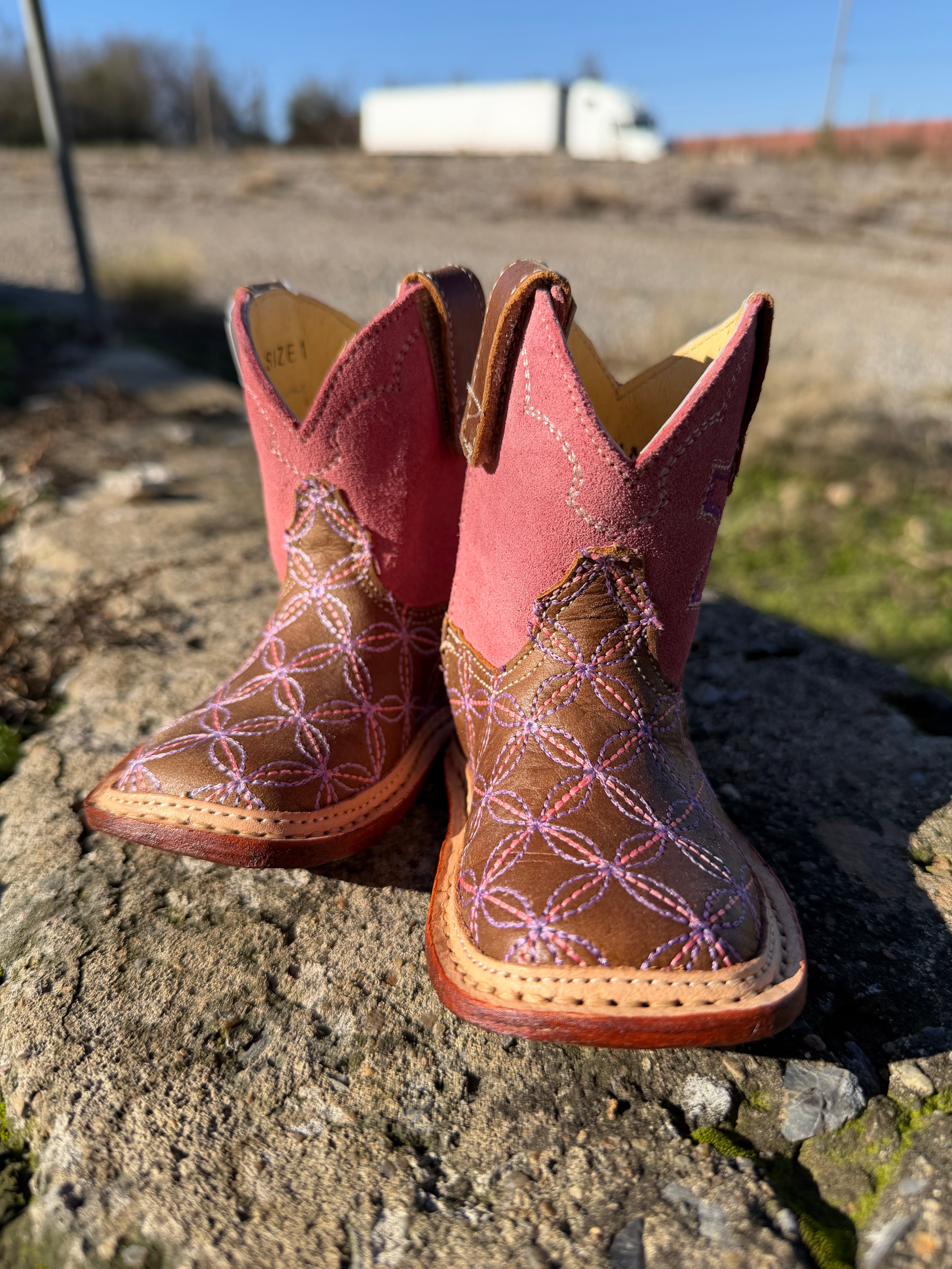 Is It Too Early To Ask For A Pony?