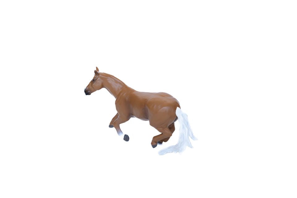 Barrel Horses