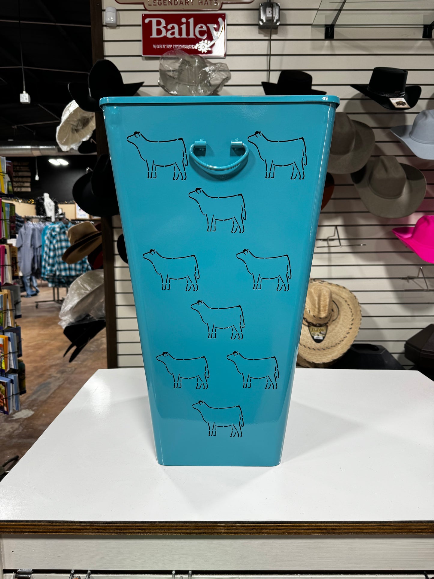 Turquoise Show Calf Laundry Basket