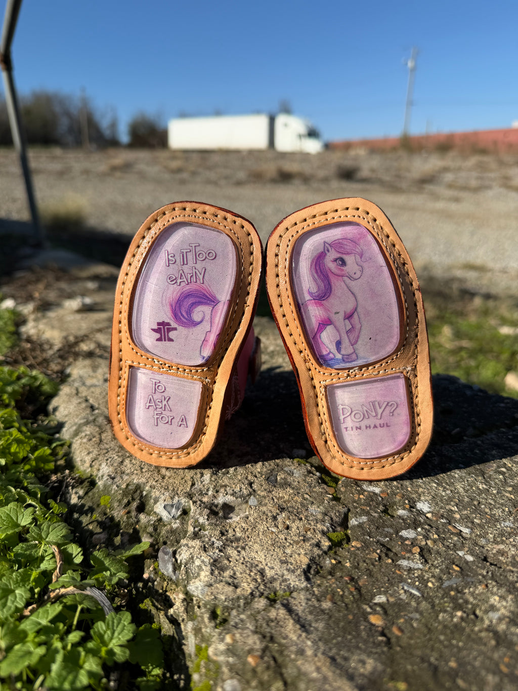 Is It Too Early To Ask For A Pony?