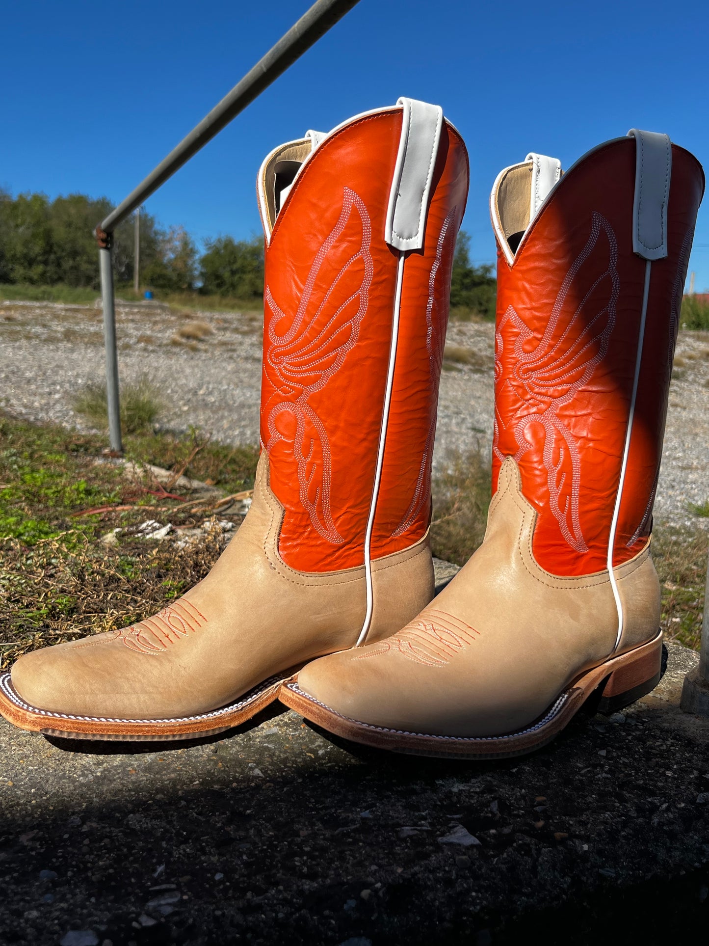 Anderson Bean Crazyhorse (360759)