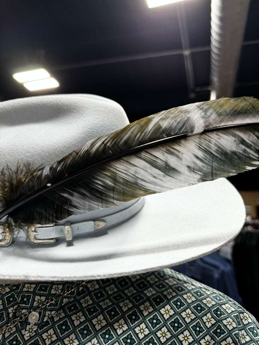 Hat Feathers