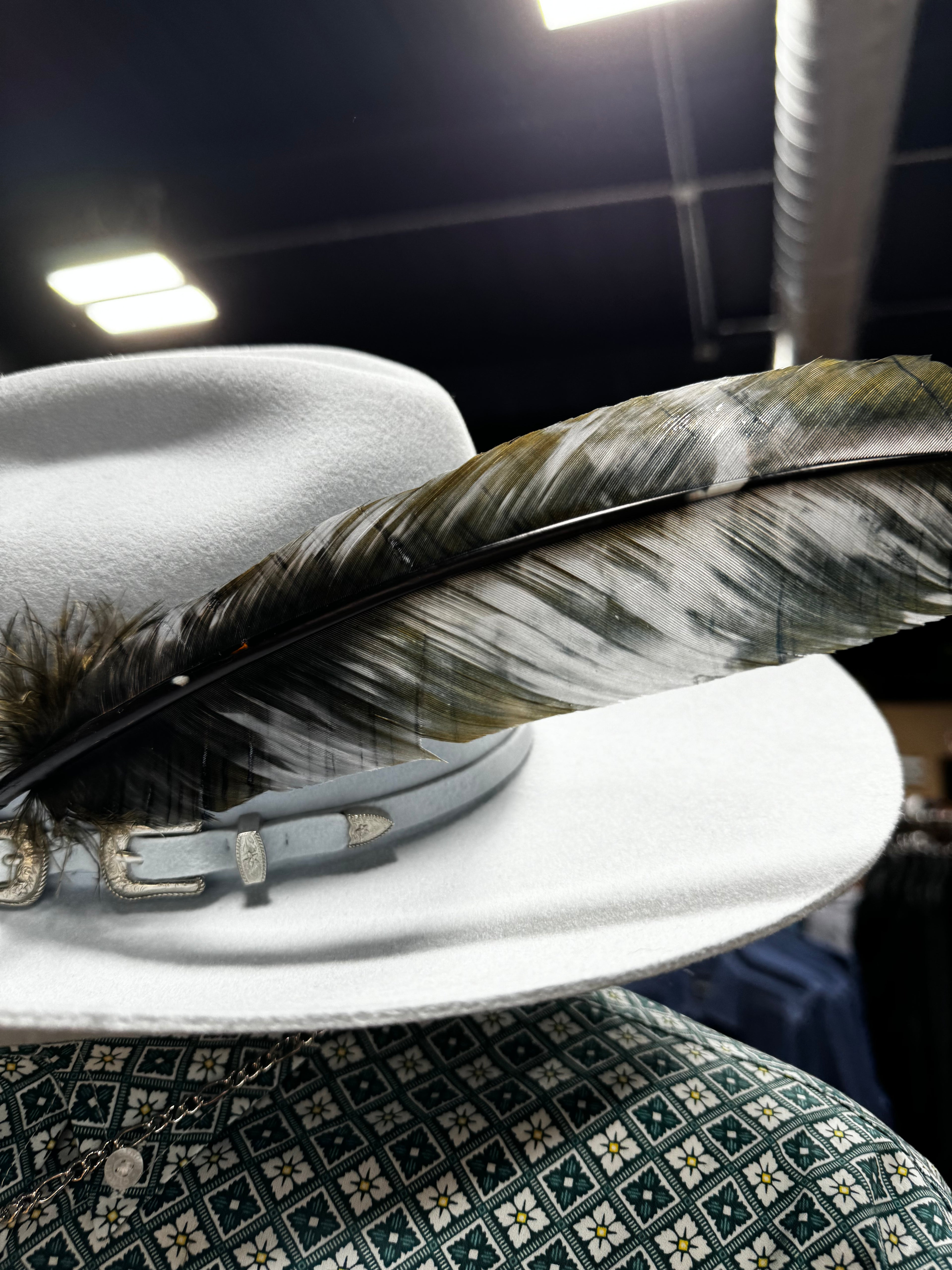 Hat Feathers