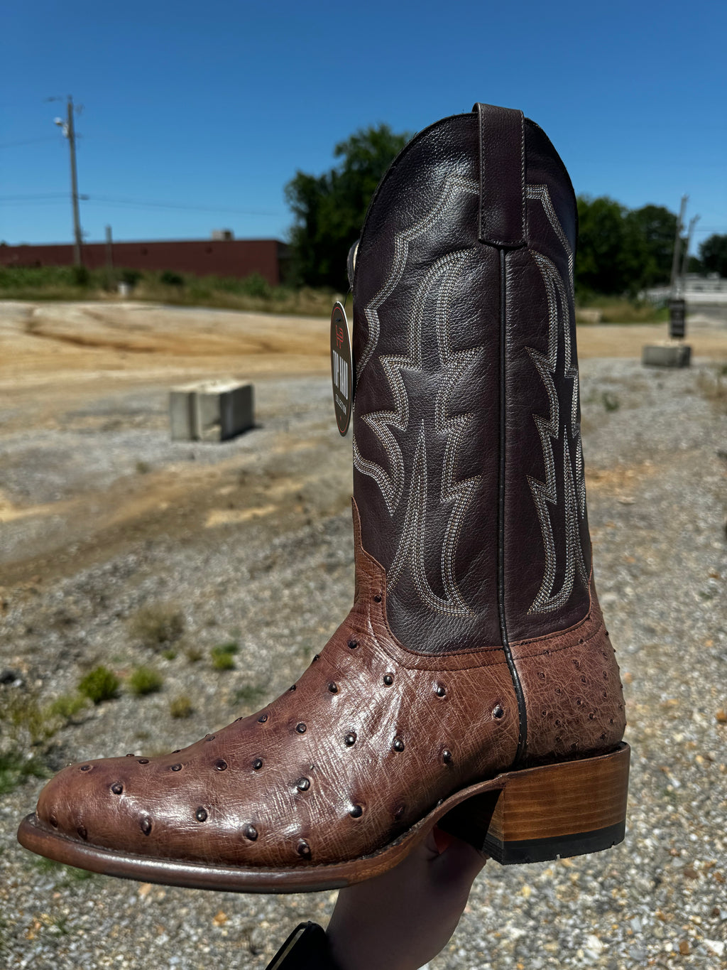 Horsepower Top Hand Kango Tobacco Full Quill Ostrich (HP6511)