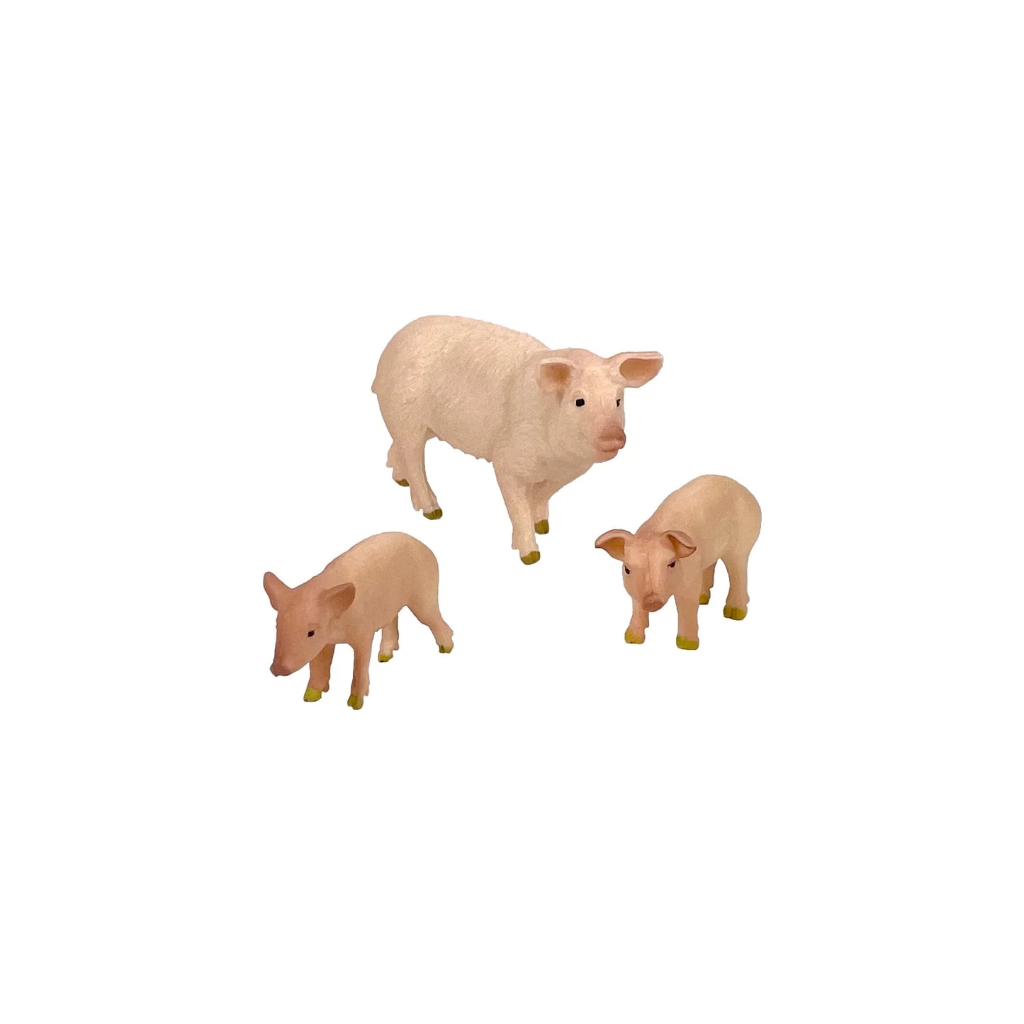 Pig & Piglets