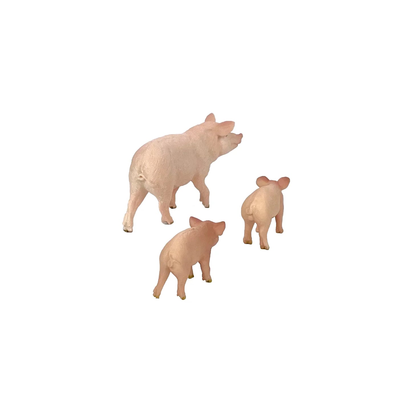 Pig & Piglets