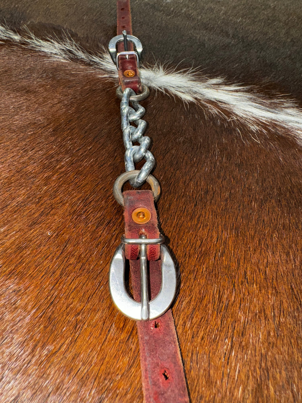 Curb Chain