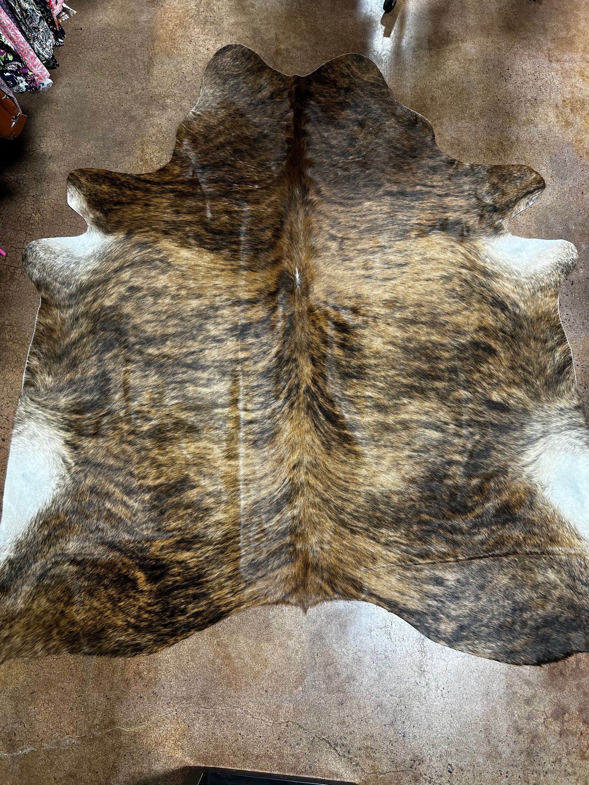 Full Dark Brindle With White Patches Cowhide Rug Frost Ranch Wear