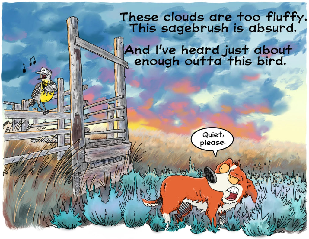 Roadie the Ranch Dog #6