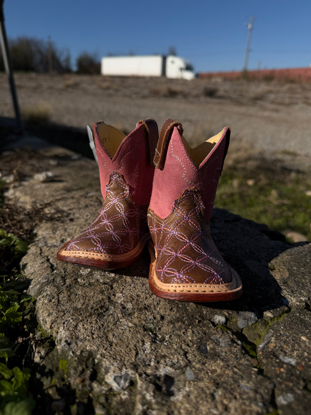 Is It Too Early To Ask For A Pony?