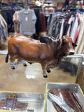Red Brahman Bull