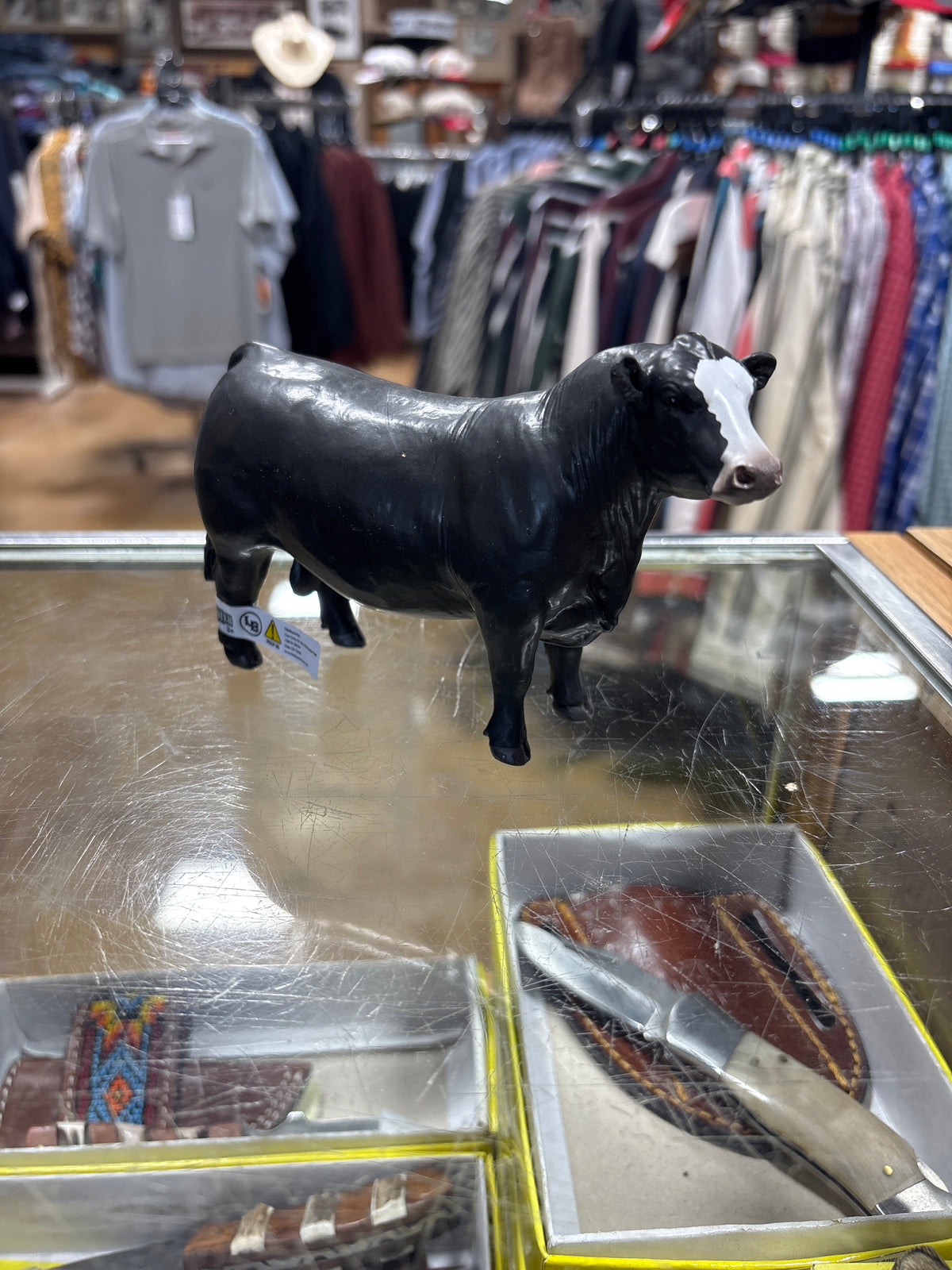 Black Baldy Simmental Bull