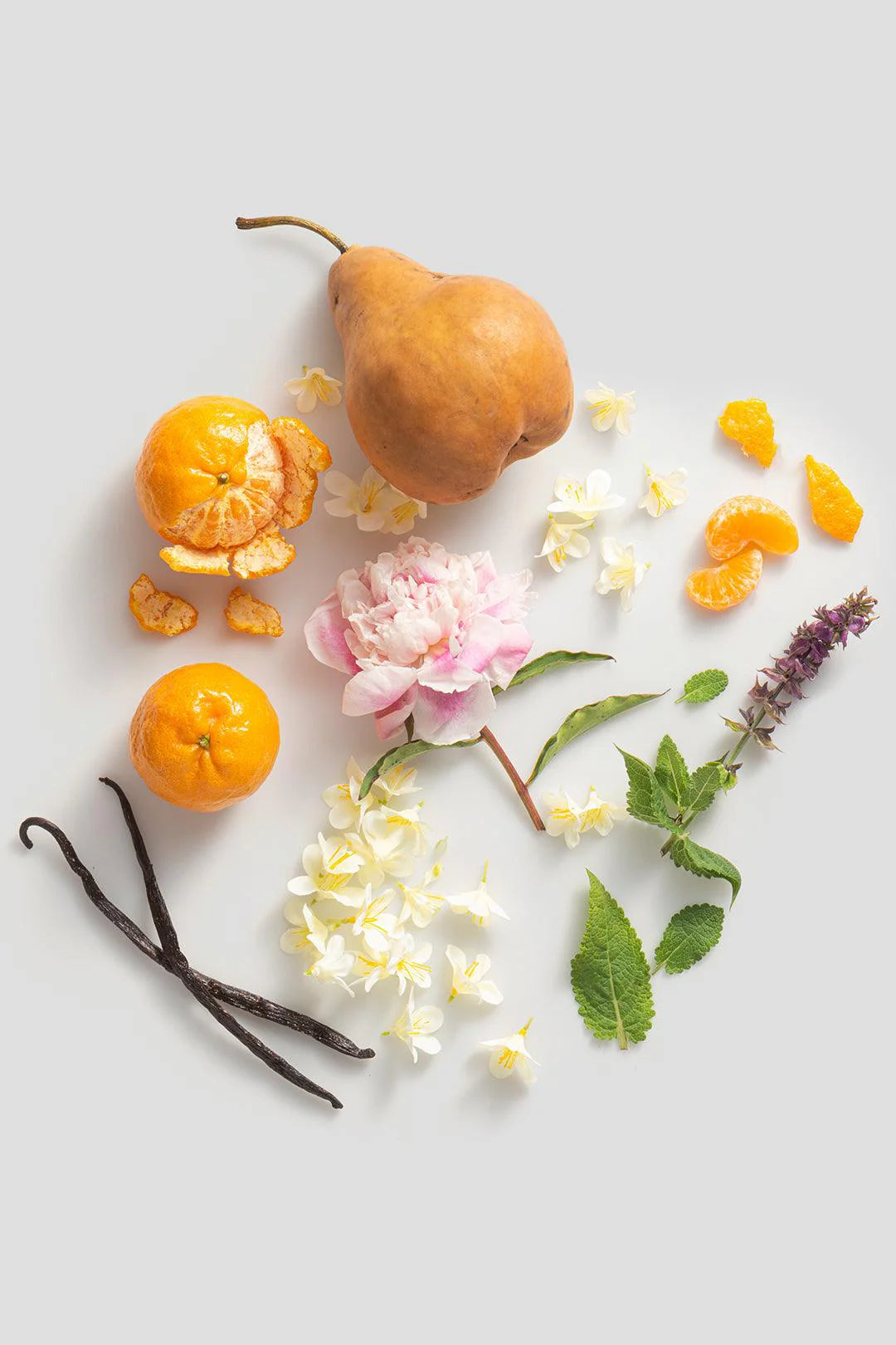 Dolly Scent from Above