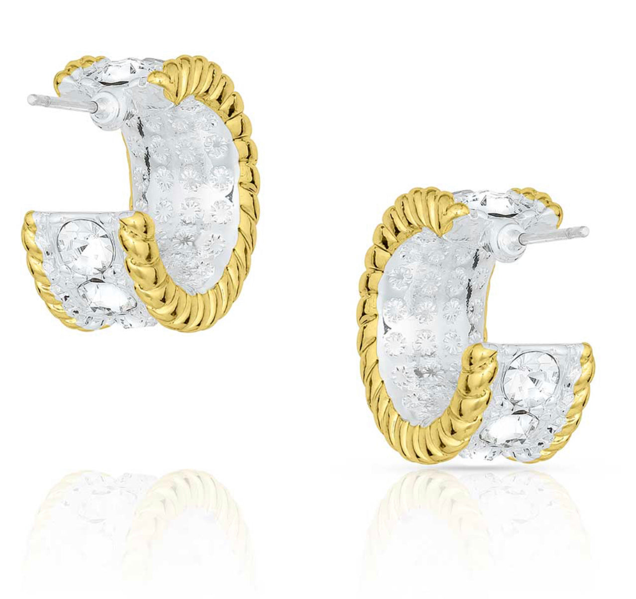 Crystal Shine in Gold Small Hoop Earrings (ER61133)