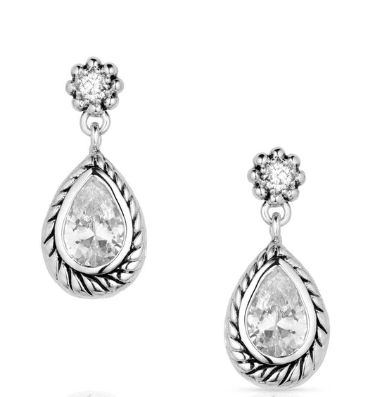 Leading Light Crystal Earrings