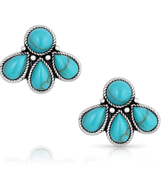 Nature's Wonder Turquoise Earrings (ER5820)