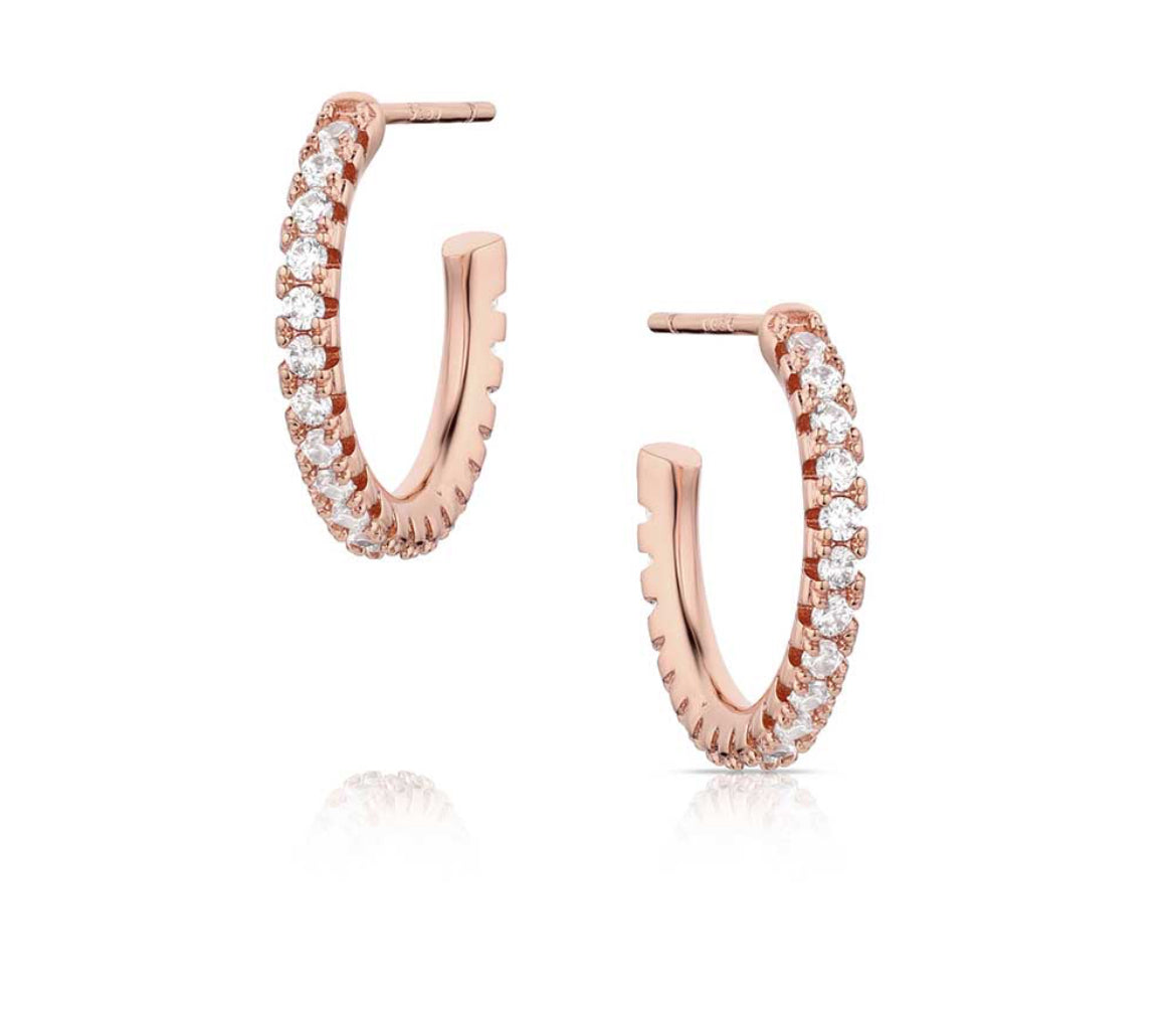 Everything is Rosy Earrings