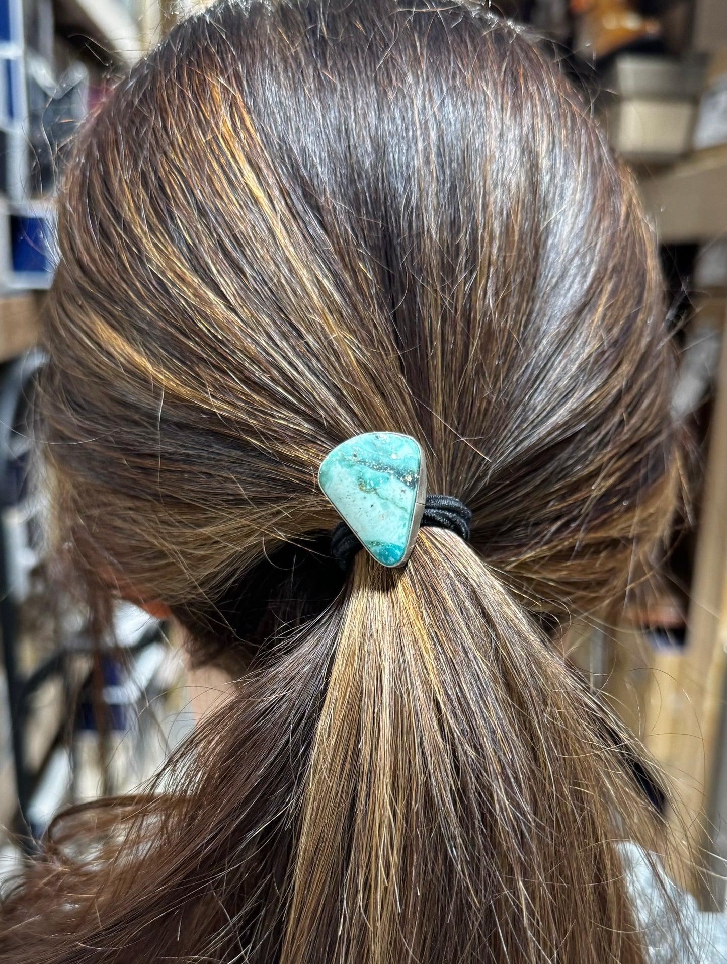 The Turquoise Ponytail