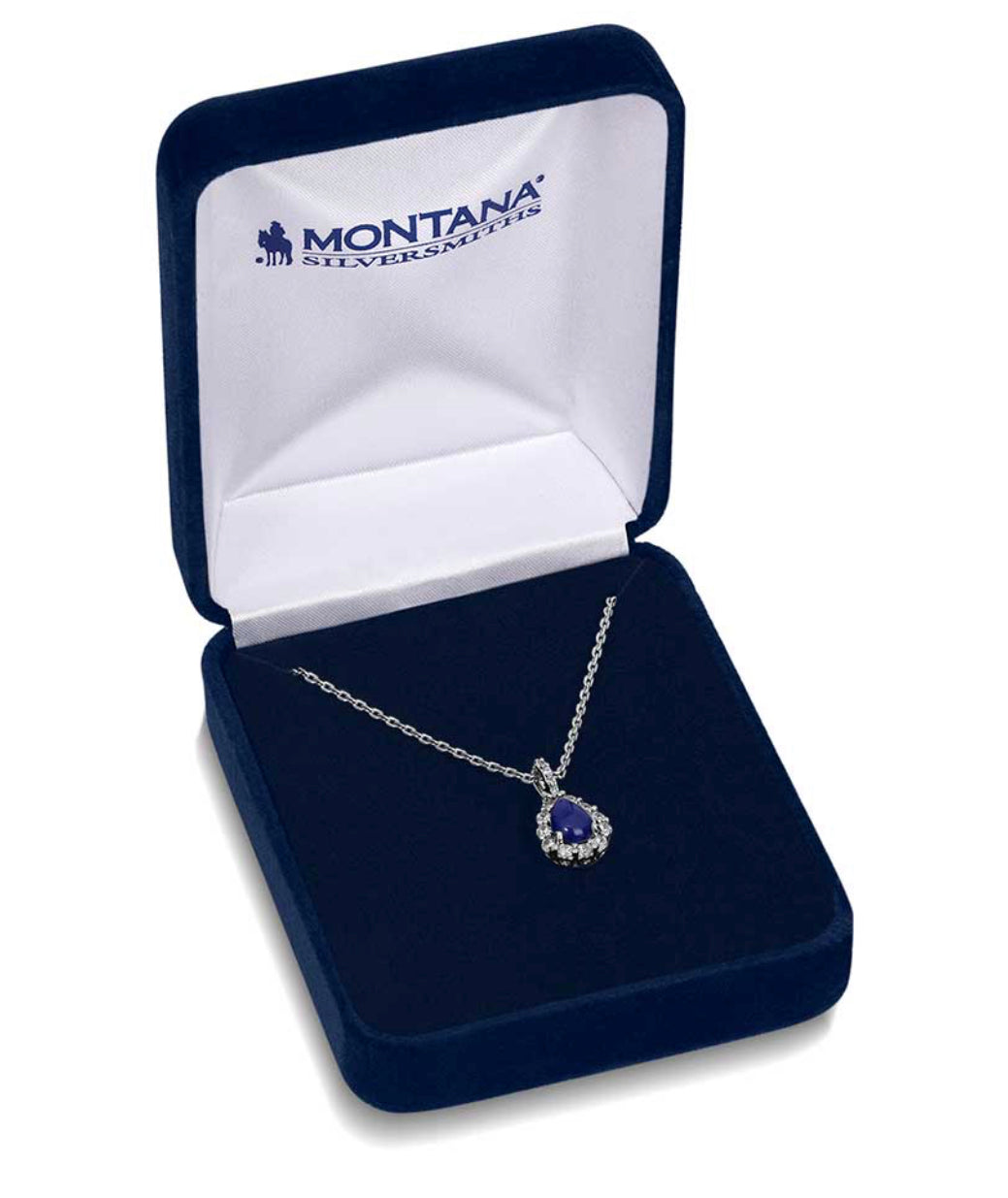 Cherished Treasure Necklace (NC5771)